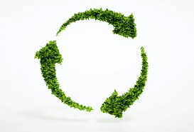 demenagement eco